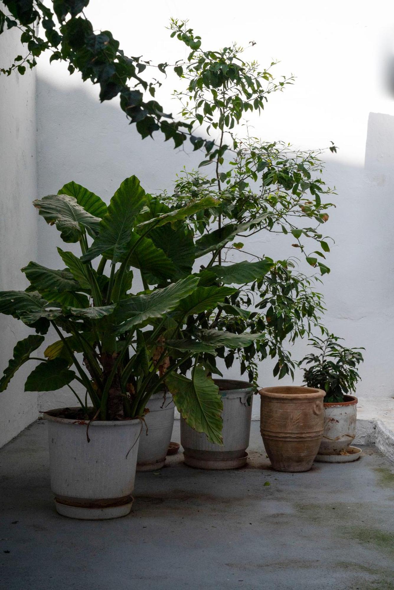 Thissio Getaway 2Ba Next To Athens Ancient Market Eksteriør bilde